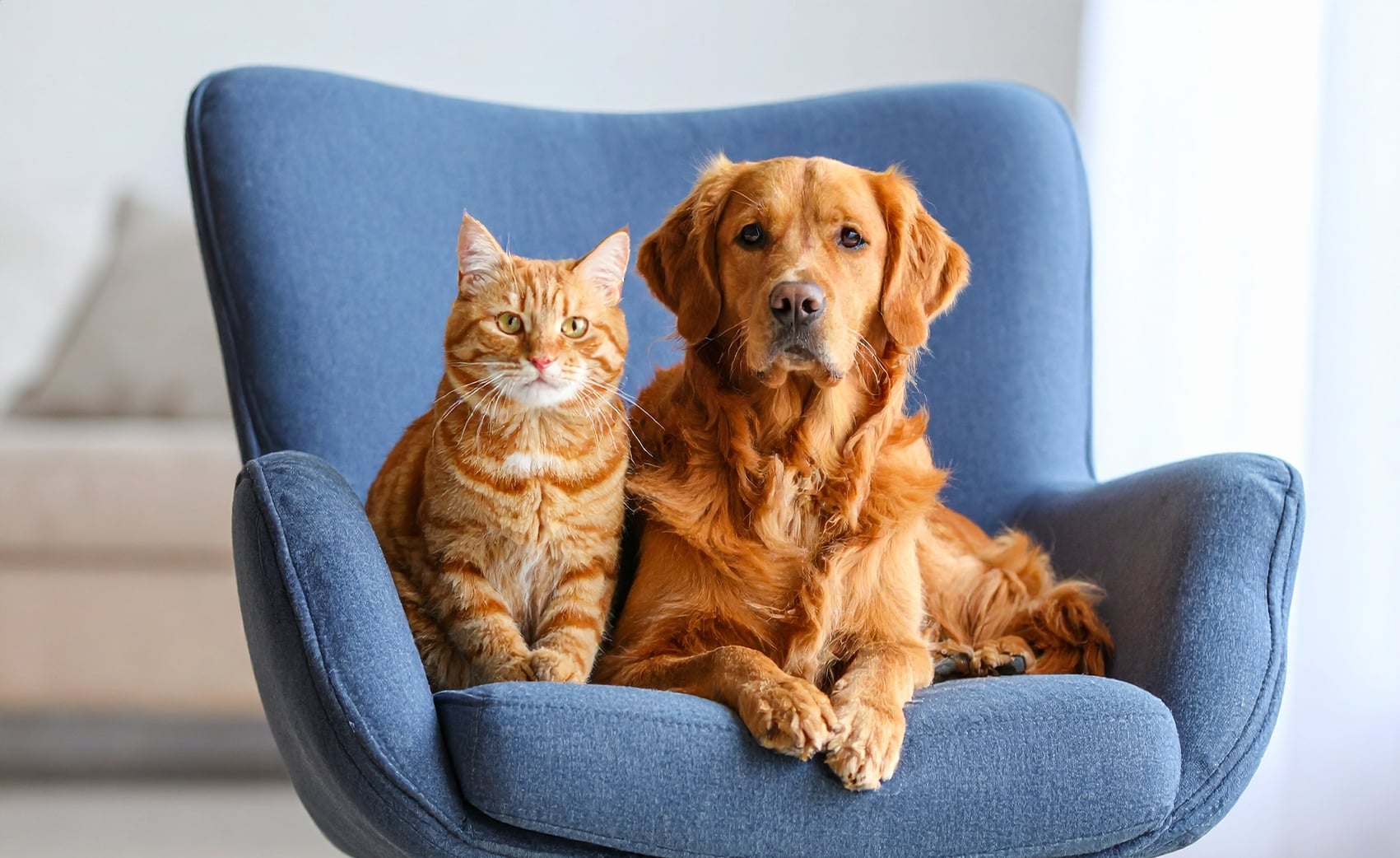 Elinde pasaportlar ve uçak maketi tutan kişi, seyahat sigortası ve tatil planlaması konsepti.