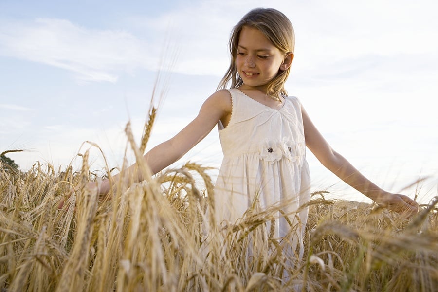 sürdürülebilirlik