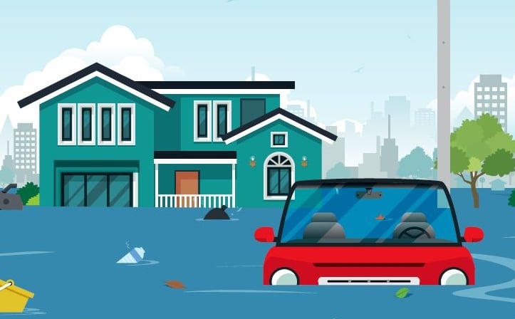 useful description of image if informative and not decoration only.