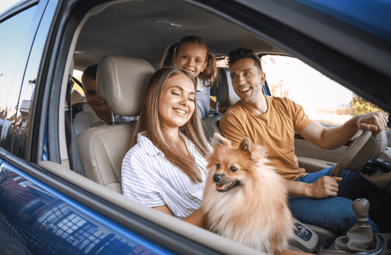 geniş aile arabaları