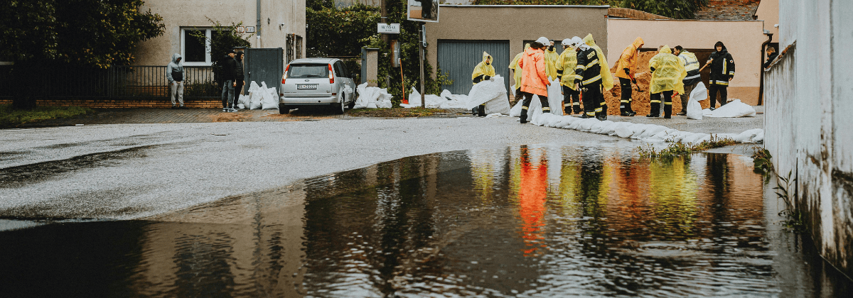 Sel ve Su Baskını teminatları