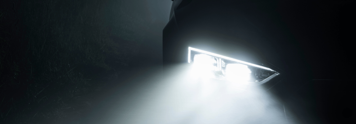 Selektör Ne Anlama Gelir