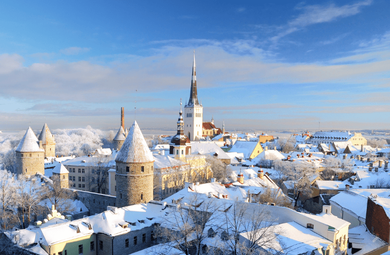 estonya vize rehberi ücret