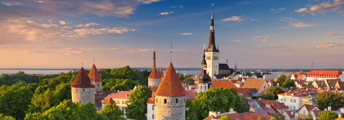 Estonya vize rehberi