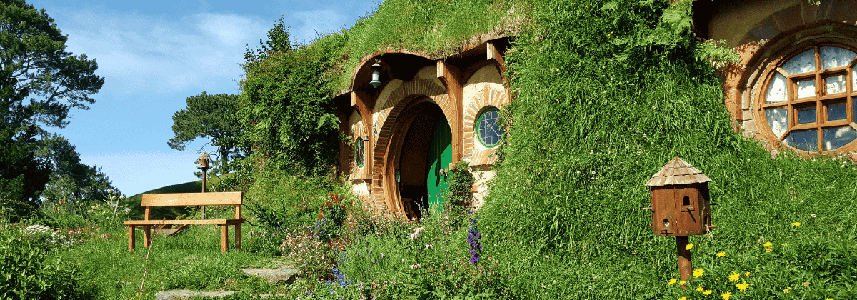 yeni zelanda vize rehberi