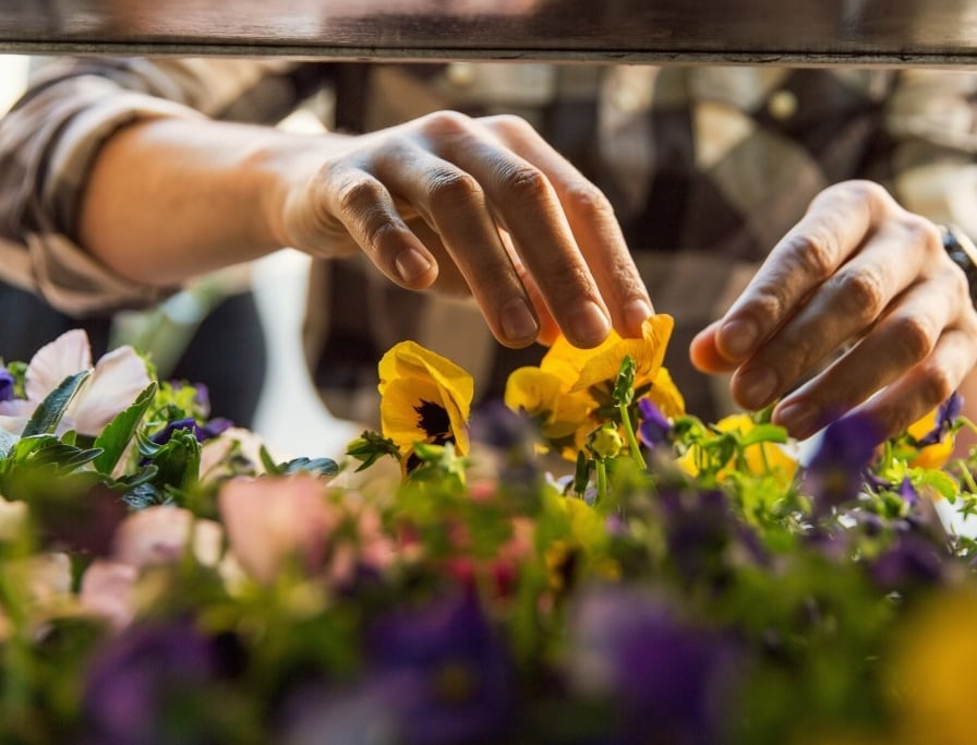 useful description of image if informative and not decoration only.