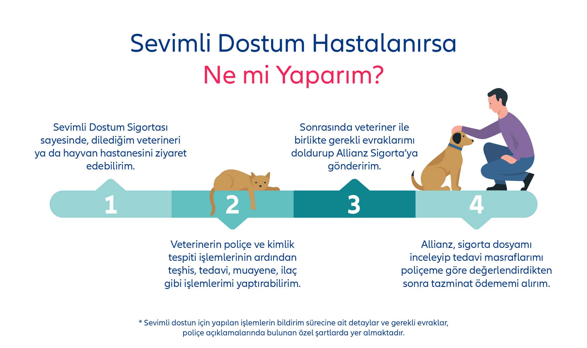 evcil hayvanım hastalanınca ne yapmalıyım